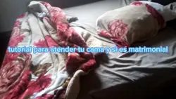tutorial para tender