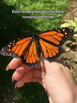 Apesar de tudo amor.