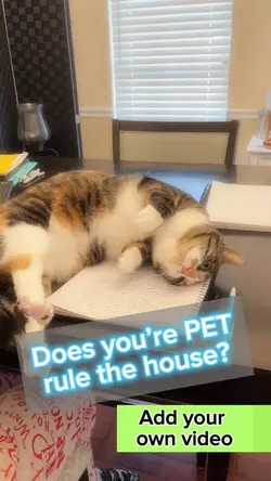 PET Template 