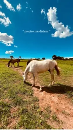 Preciso me distrair 