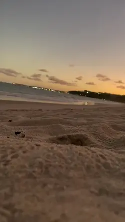 Paisagem 