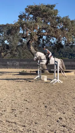 Slo mo😍