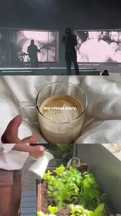  my digital diary 