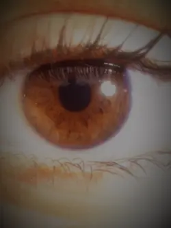 iris🤎🤎