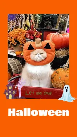 Halloween Font2