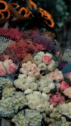 flowers