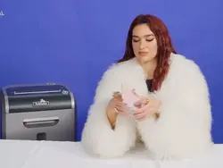 dua lipa shredder