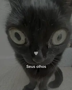 Seus olhos..🤍