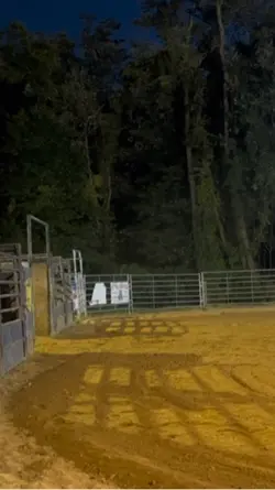 Rodeo