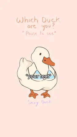 Duckies