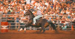 Rodeo edit ⚡️⚡️