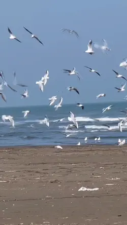 Slow motion 