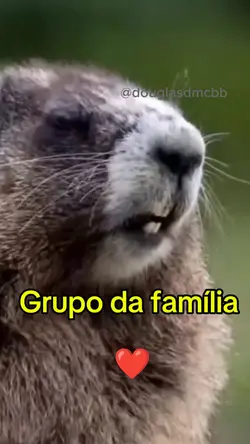 vovó te ama muito 