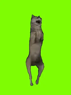 Meme de lobo bailand