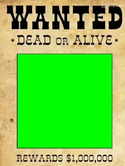 Wild Western meme