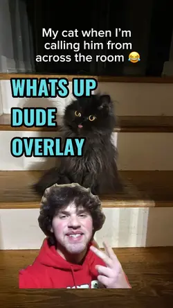 WHATS UP OVERLAY
