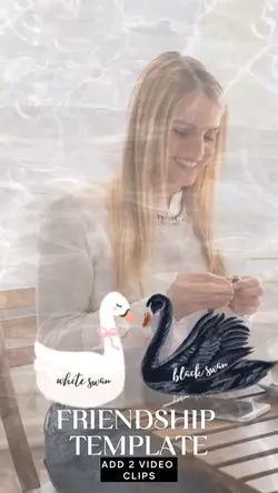 white and black swan