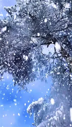 Snow scenery