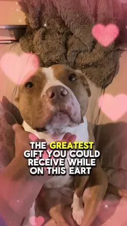 Greatest Gift🐶❤️
