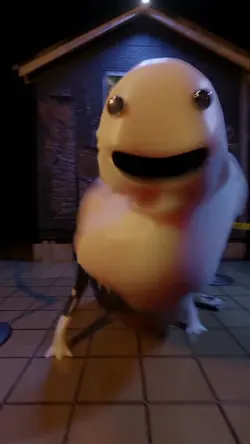 Cow dance