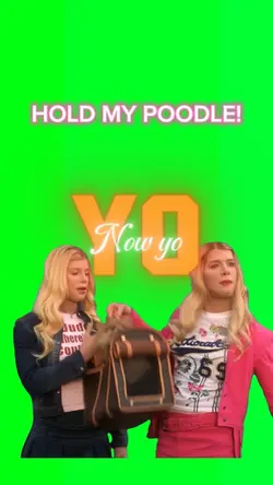 Hold my poodle 