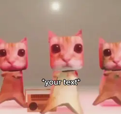 Cat dance