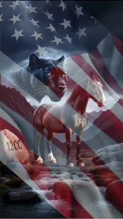 America 