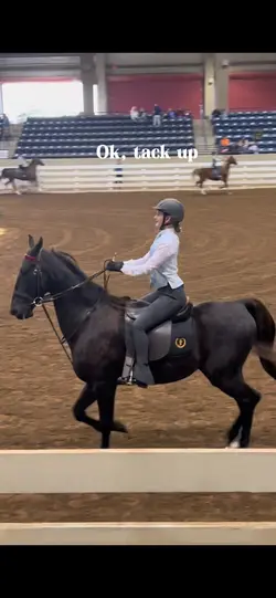 Tack up