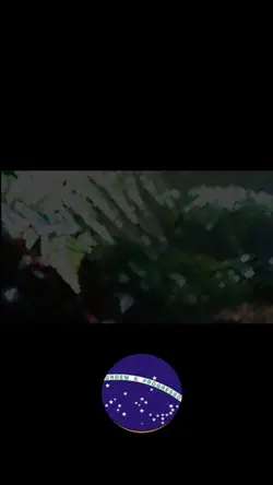 música grátis 