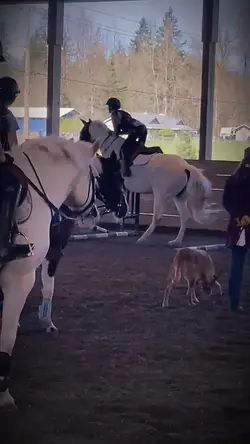 Warm up jump! I move