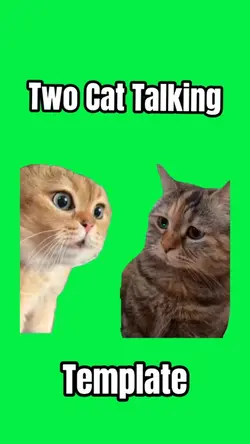 Two Cats Talking