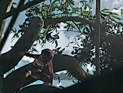 Jurassic World camp