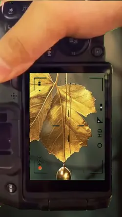 camera effects