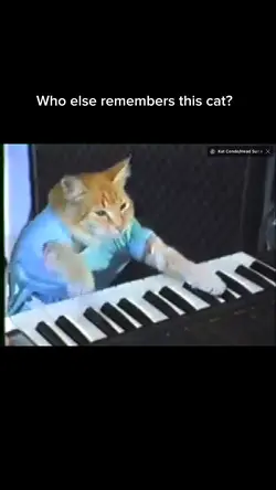 Keyboard cat