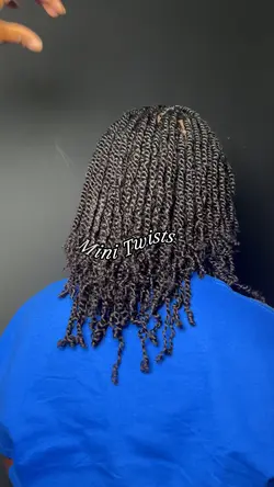 Hair Mini Twists