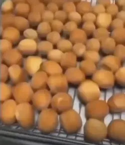 Donutsociety