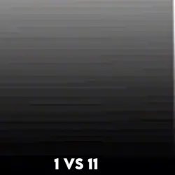 1x1
