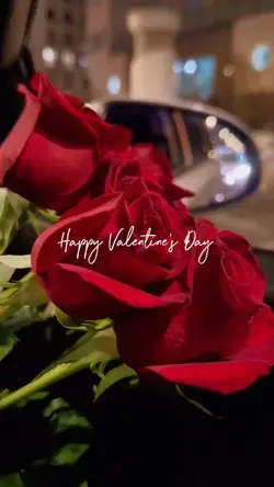 Valentine ❤️❤️