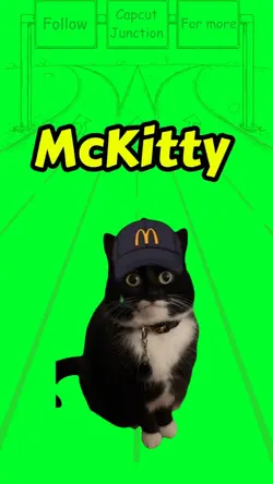 McKitty 