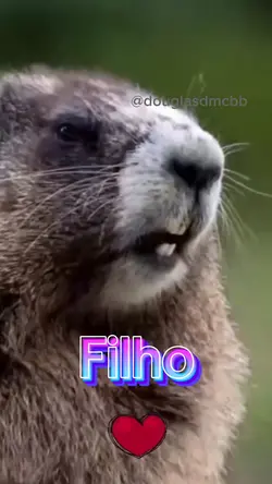 Filho mamãe te ama 