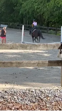 Trot Velocity???