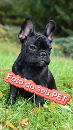 Foto do seu PEY