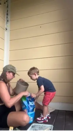 potting plants 