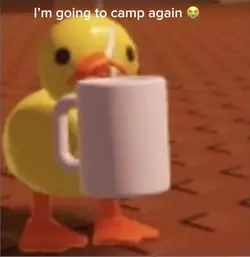 Camp again 😭