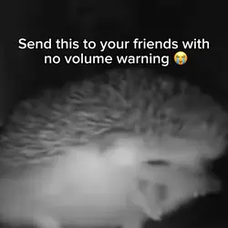 Sneeze meme