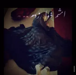 Song