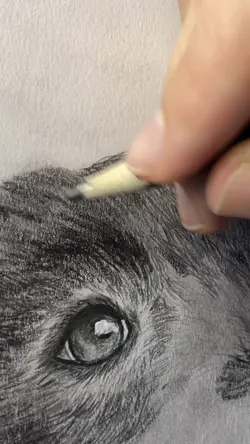 ASMR Sketching 