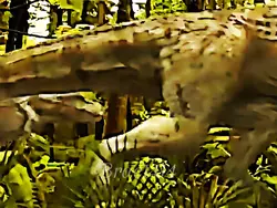 Dinosaur