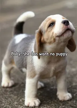 She wanna a big dog