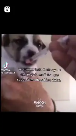 areglado